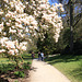 Stourhead Gardens