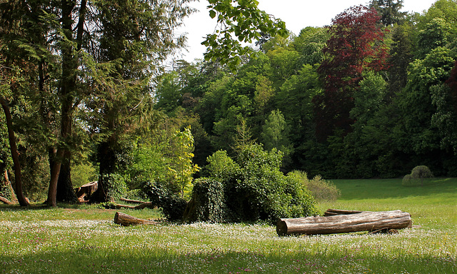 Parc de Pocé/ Cisse