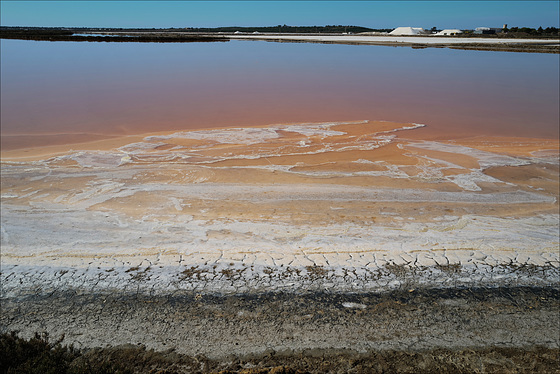 Sapal de Castro Marim, salt !