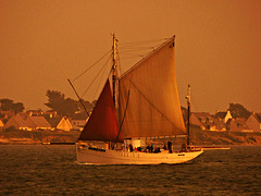 LE BICHE, rentre au port ce soir,