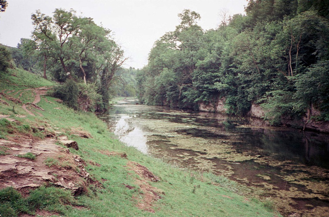 Looking back downstream on the River Lathkill from near Over Haddon (Scan from July 1991)