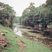 Looking back downstream on the River Lathkill from near Over Haddon (Scan from July 1991)