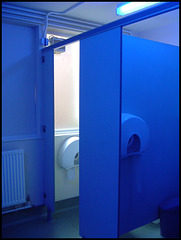 blue loo