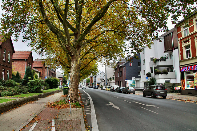 Kaiserstraße (Herten-Disteln) / 17.10.2020