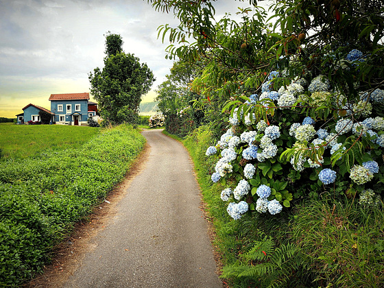 ROAD TO THE COAST