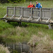 20230606 -08 Lozère tritons (246)