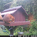 oaw[rsq] - visit A : 18Jun2026 {9 of 11}