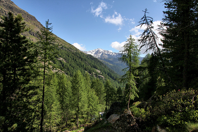 Blick auf das Hasenöhrl (3257m)