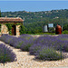 Le Rond-point Provençal ...