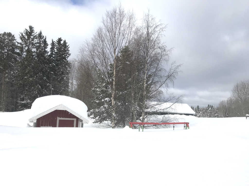 shed and playground equipment almost under