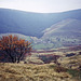 Descending from Little Moor towards Alport Farm (Scan from Oct 1990)