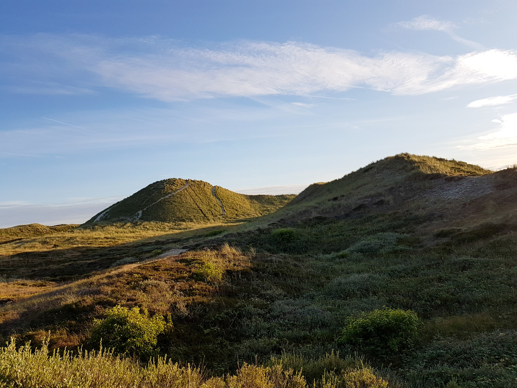 Niederlande - Schoorlser Dünen