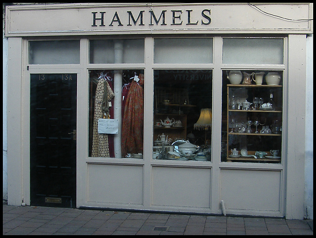 Hammels shop window