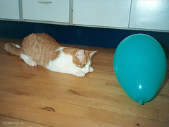 Rudolf and the ballon (1992)