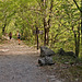 Nationalpark Paklenica - Abzweigung im Wald Richtung Jurline