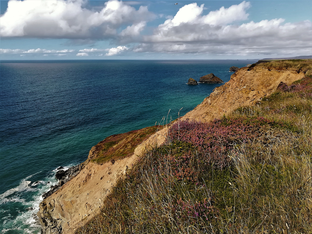 North Cliffs, coastal erosion and heather.