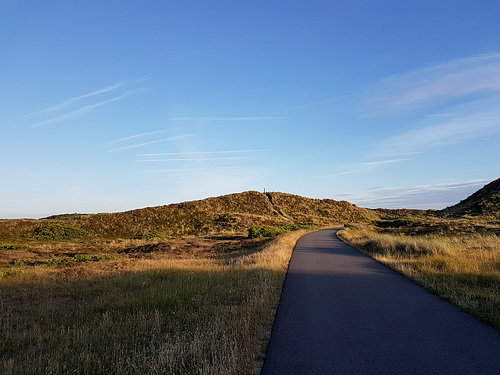 Niederlande - Schoorlser Dünen