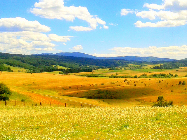 Breathtaking summer landscape