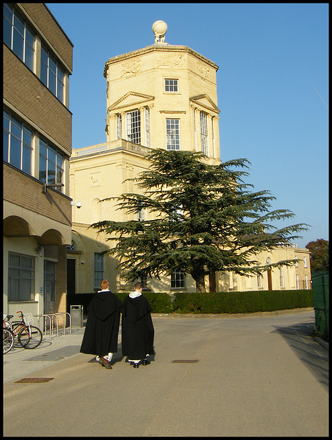 friars at the Observatory