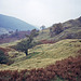 Descending from Little Moor towards Alport Farm (Scan from Oct 1990)