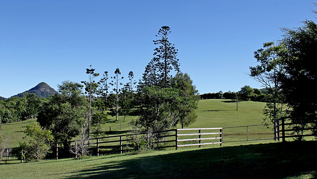 View to Mt Cooroy