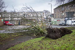 Storm Damage