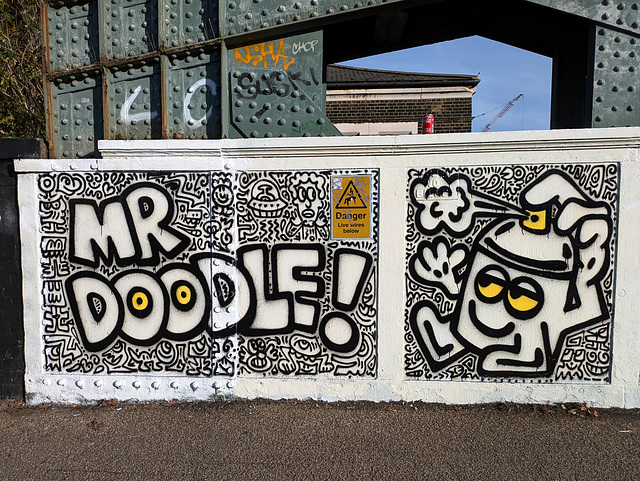 PXL 20241017 150613931-001-Mr Doodle
