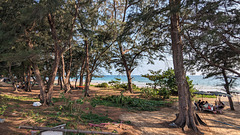 Pique-nique de plage / Beach picnic time