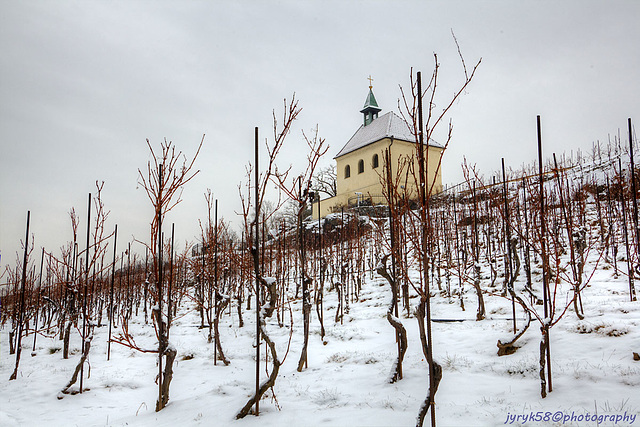 St Clara's Vineyard & Chapel