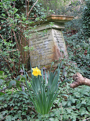 st pancras and islington cemetery, east finchley, london