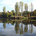 Herbstliche Impression an einem Weiher