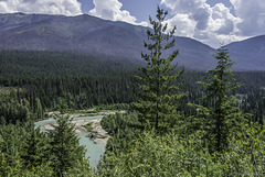 nördlich vom Rogers Pass ... Blick auf den Beaver River (© Buelipix)