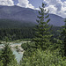 nördlich vom Rogers Pass ... Blick auf den Beaver River (© Buelipix)