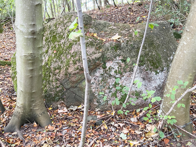 Part of the Kinsteary Stone Row