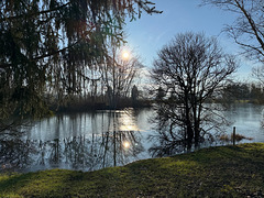 Etang des Chantreines VERTUS