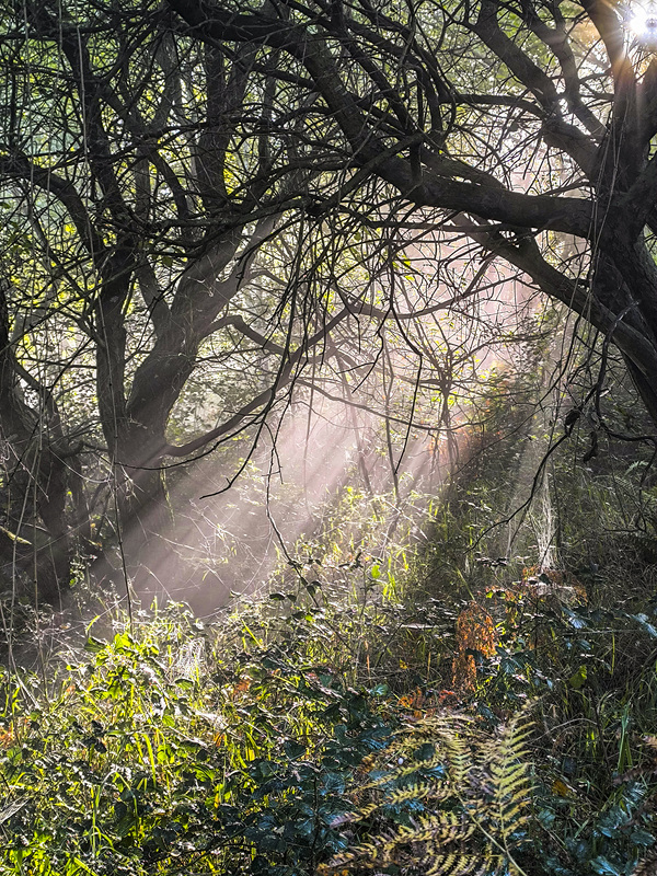 IMG 20251006 101510-2