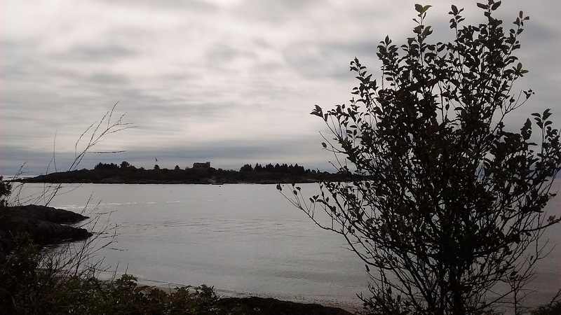 Île et arbuste / Ilha e Arbustos