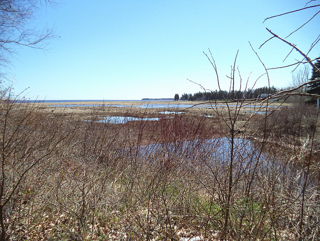 Nature Bouctouchienne (3)