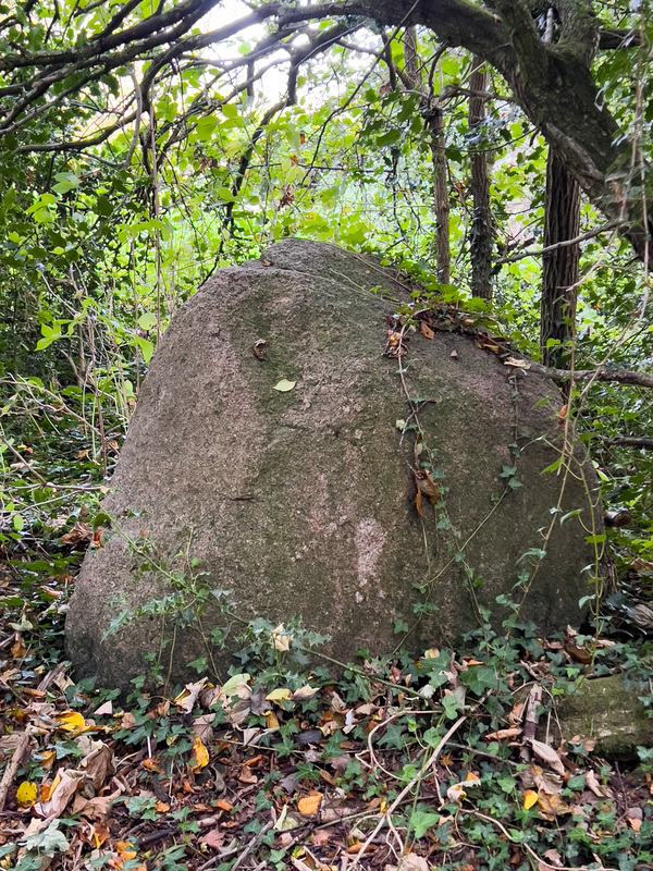 Part of the Kinsteary Stone Row