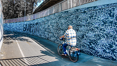 Graffiti-Mauer in Lingen (Ems)