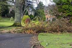 Storm Damage