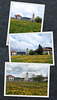 Spring collages