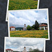 Spring collages