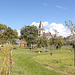 Un espace nature , près de l’église,  lieu de l’exposition , à Plouer sur Rance (22)