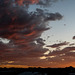 Albuquerque sunsets6