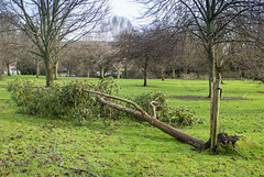 Storm Damage