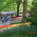 Sea of Colour