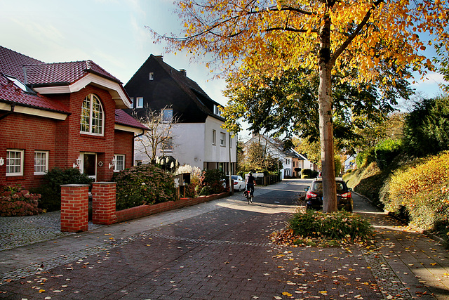Zechenstraße (Gevelsberg-Silschede) / 26.10.2024