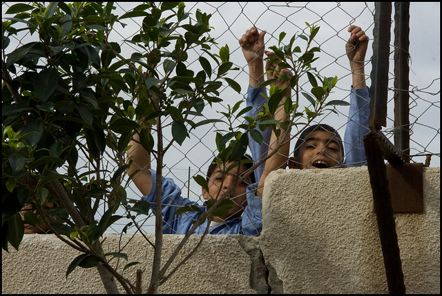 On the fence