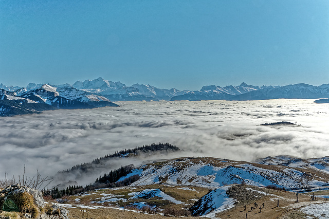 Vue depuis la Pointe de Miribel (Alt.1581 m.)